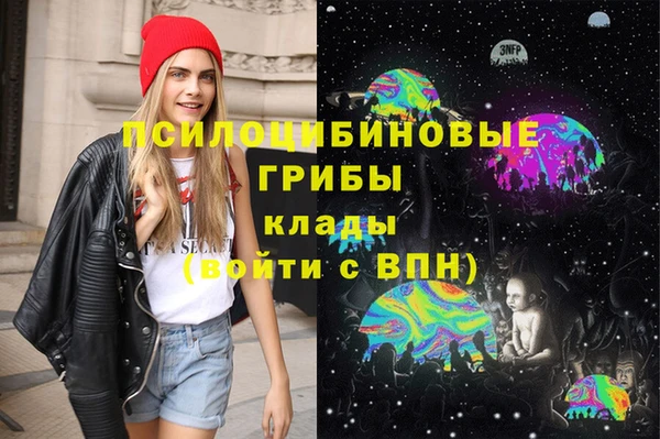 сатива Пролетарск
