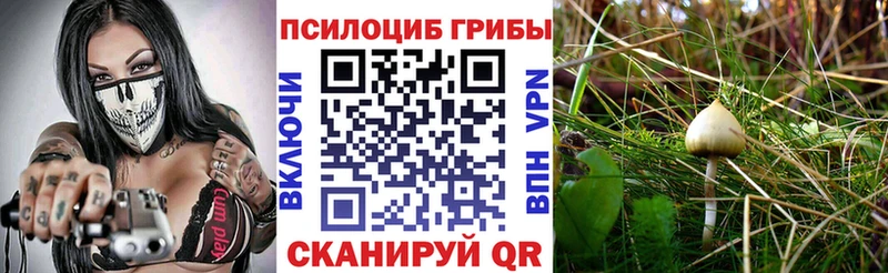 Псилоцибиновые грибы Psilocybine cubensis  Янаул 