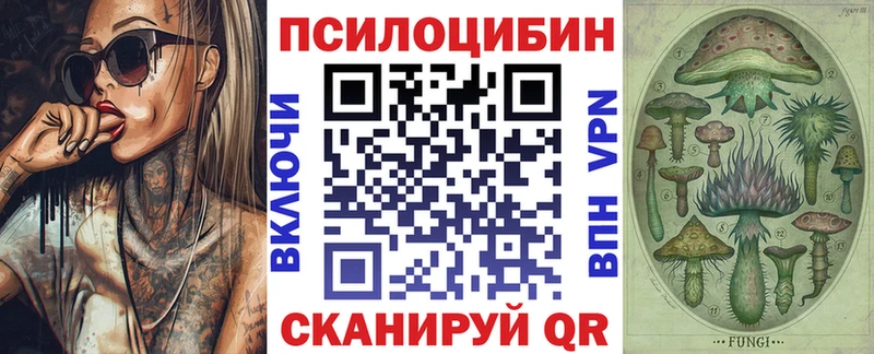 Псилоцибиновые грибы Psilocybe Янаул